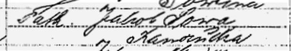 1914 Frank Sowa line 25 immigration record Page 1.jpg