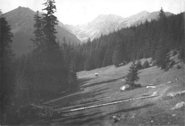 1968 rusinka.jpg