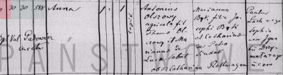 Anna Olszowa birth.jpg