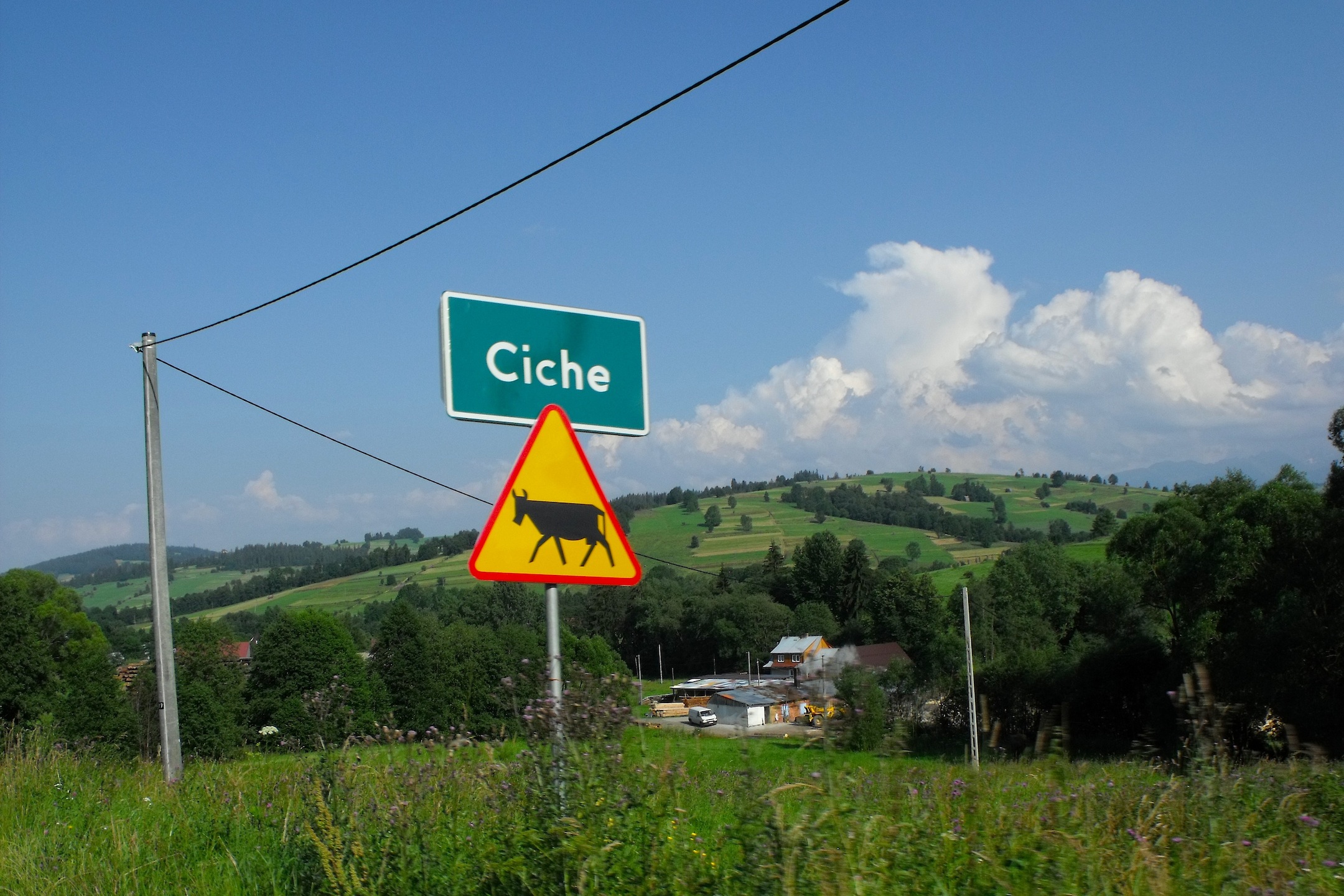 Ciche Last day 2009.jpg