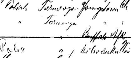 clement_wojciechowski_165.jpg