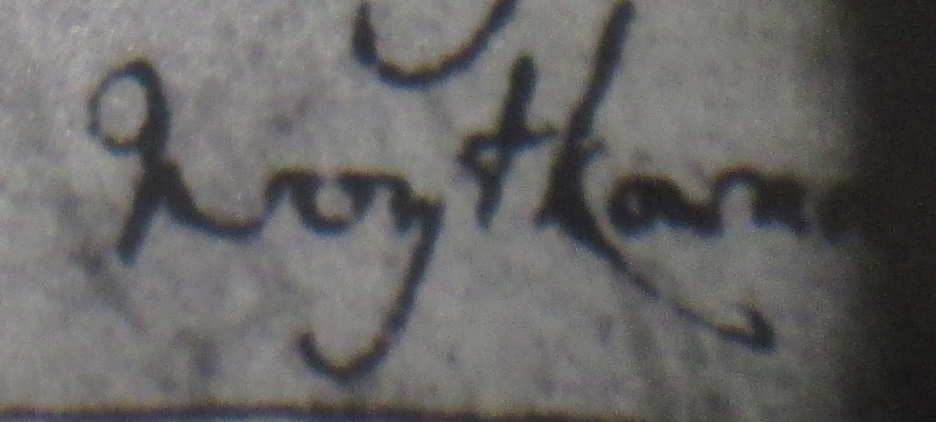 crop1.jpg