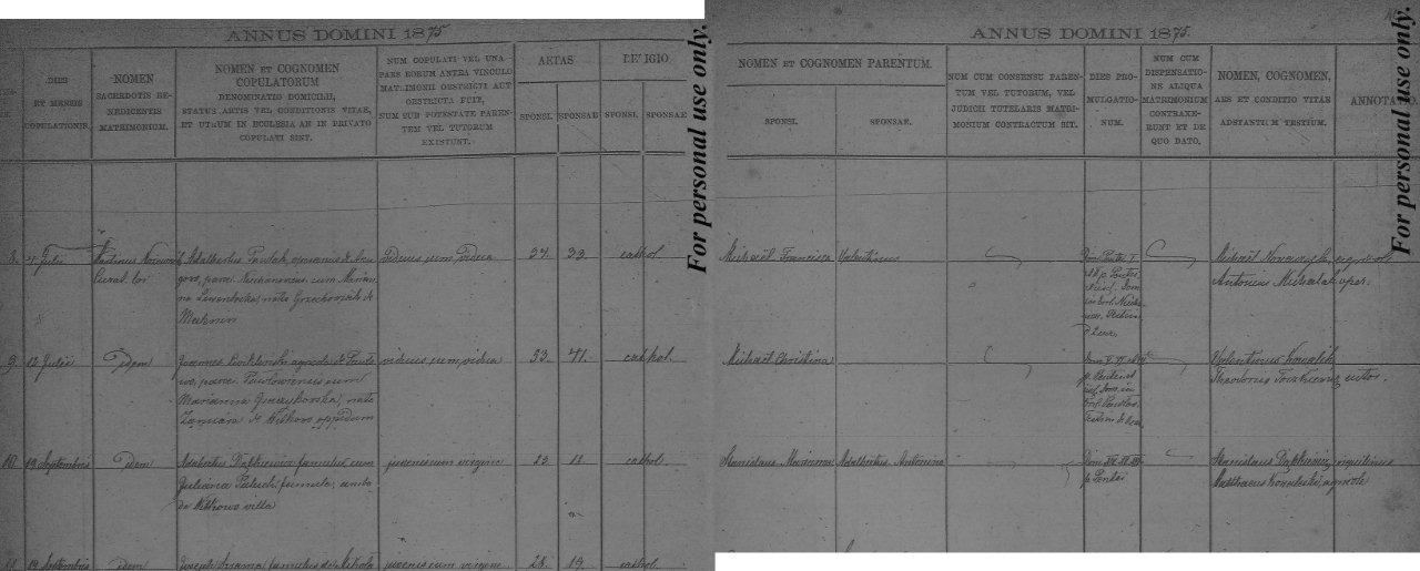 Dabkiewicz marriage 1875.jpg