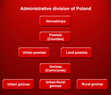 DivAdminPolonia.jpeg