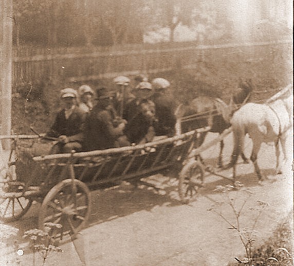Ference Family Wagon.jpg