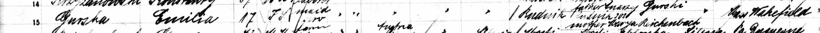 New York, Passenger Lists, 1820-1957 - Amelia Gurska-1.jpg