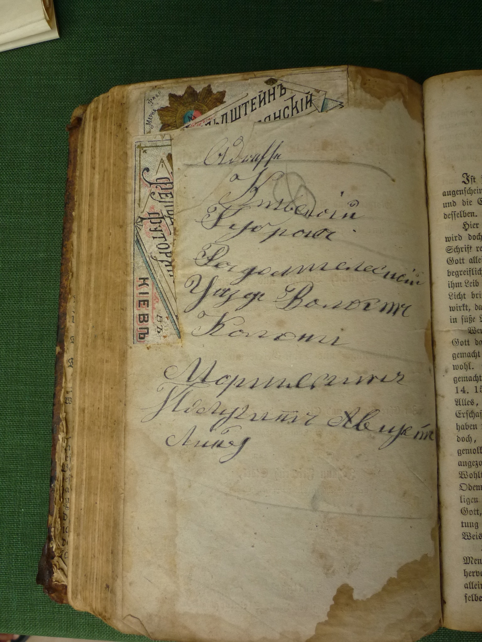P1070361s.jpg