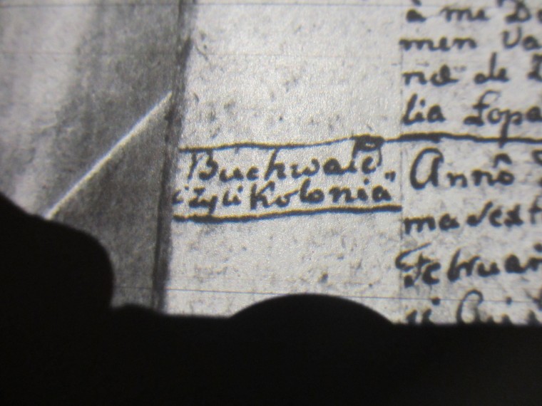 pic 2.jpg
