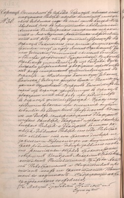 1879 #30 Mar. Jan Jezewski & Julia Kasinska.jpg