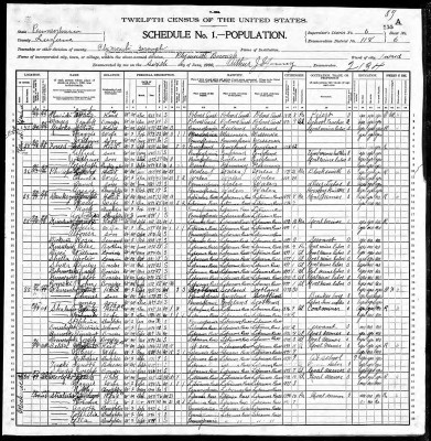 1900 Census Mary Daukszys in Plymouth.jpg