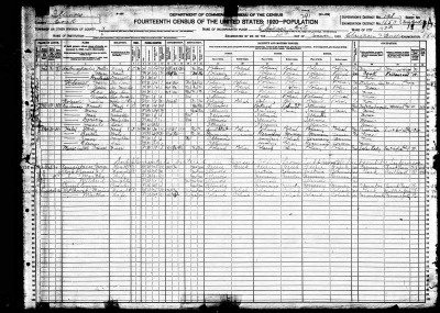 1920 census.jpg