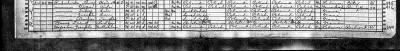 1920 Census.jpeg