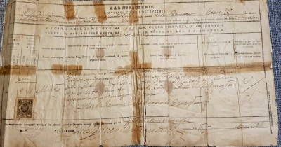 Birth_Certificate.jpg