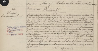 Birth record (1).jpg