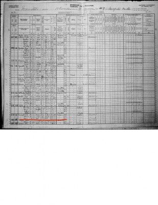 census ivan druzyk.jpg