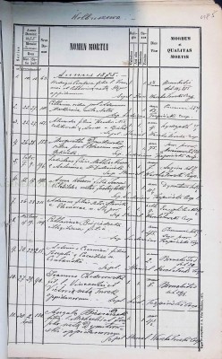 D-Dymitrowska Malgorzata nee Golinska, 1875.jpg