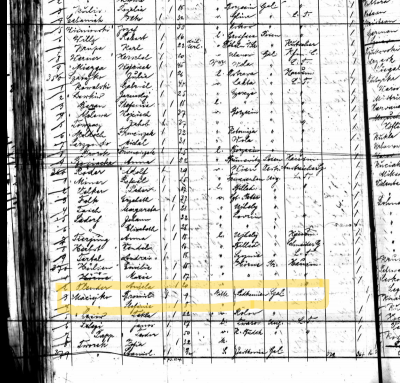 Hamburg Passenger List_October 1909.png