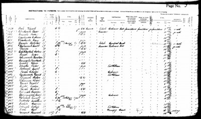 Heinrich Komant Manifest, last entry on page.jpg