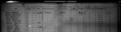 Jadwiga Dedo Passenger list 1820-1891.jpg
