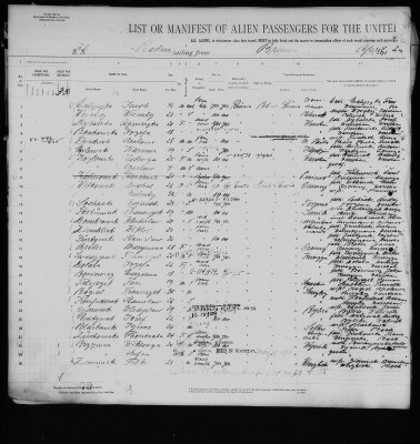 jan-falejczyk-ellis-island-1.jpg