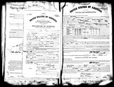 Jan Naturalization Record.jpg