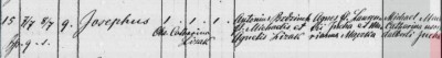 Josephus_from_Gwizdow_1880.jpg
