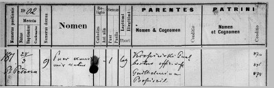 Kropinski-no-name-1902.0.28-Birth.jpg