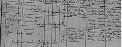 Kruzlowa 1862 Litawa thom.jpg