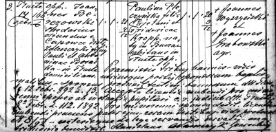M-Berezowski-Pleczynska, 1892.png