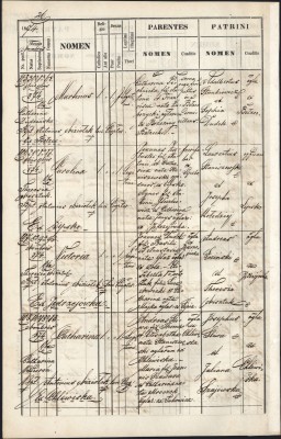 Marcin Birth Entry TsDIAL.jpg