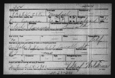michal-potential-ellis-island.jpg