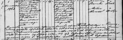 Onufrius marriage record 1868.jpg