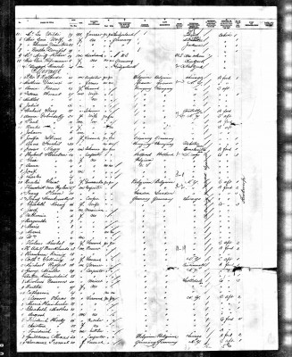 Possible Manifest for Franz Mankowski.jpg