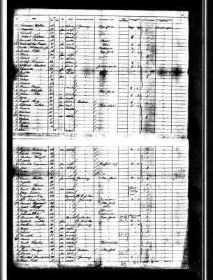 Possible Manifest for Ludwina and children, 1891, line 257.jpg