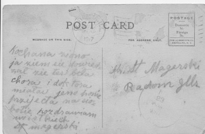 postcard back 1917.jpg