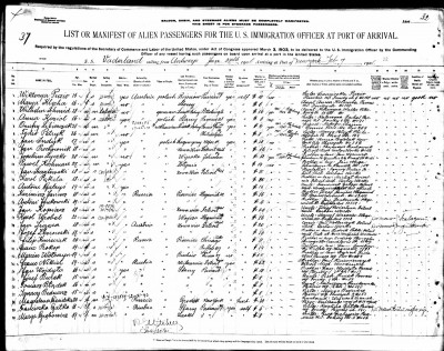 Wiktorya Puzio Manifest.jpg
